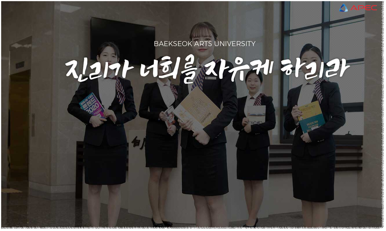 Đại học Nghệ thuật Baekseok