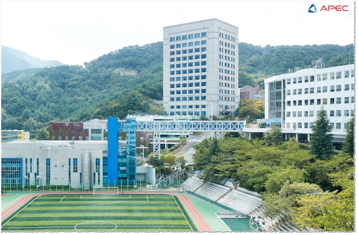 Trường Cao đẳng Công nghệ Thông tin Busan