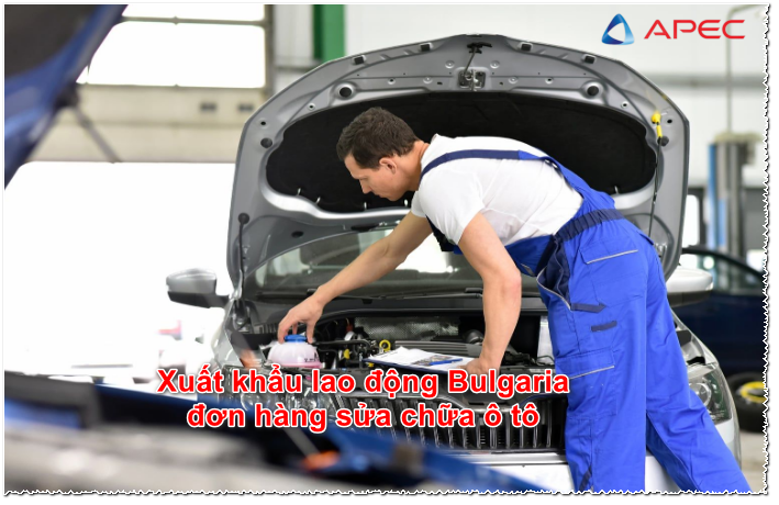 Xuất khẩu lao động Bulgaria đơn hàng sửa chữa ô tô